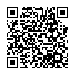 唔……亏我刚才还劝他们再把那两千万筹码也都押在为一门上二维码生成