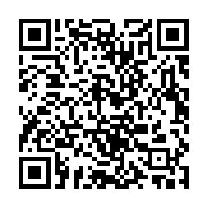 唔……如果翠花上酸菜发展成了全国连锁的大品牌呢二维码生成