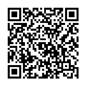 唯一不知道的应该就只有她和老头子在墓碑前的对话了二维码生成