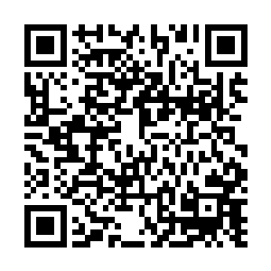 唯一会做的便是将自己最喜欢的东西尽数奉送到对方手里二维码生成
