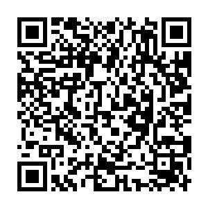 唯一冷嘲热讽的自然是对马文当甩手掌柜表示极为不满的某位未婚妻二维码生成