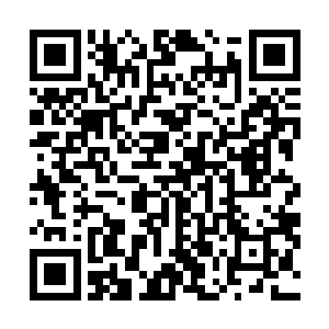 唯一可惜的是自己每次收集到的都需要上交大半……呸呸二维码生成