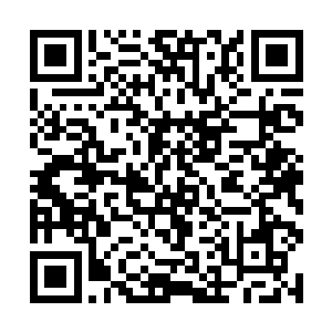 唯一完成任务的方法就是有一个人愿意陪自己五十年二维码生成