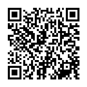 唯一对他有威胁的樊翘楚已经是被连云子给拖住了二维码生成