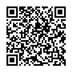 唯一有变化的就是门后的那块小黑板上的工作安排出现了变动二维码生成