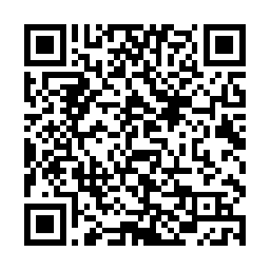 唯一有点儿调调的是一角有个架子上面摆着一摆古琴二维码生成