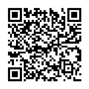 唯一比较沮丧的就是战败的双子星和利亚斯芬克了二维码生成