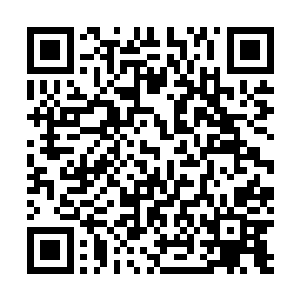 唯一没变的就是她还是喜欢各种小动图案的拖鞋还有睡衣二维码生成