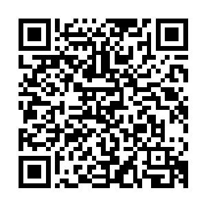 唯一留下的就只有满地的鲜血以及碎裂成无数块巴掌大小的龟壳二维码生成