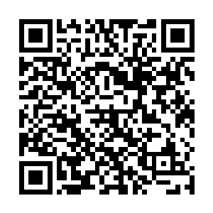 唯一的一次还是在暗战中扮演尼古拉斯凯奇的个人医生二维码生成