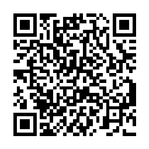 唯一的办法是通过飞过华国上空的间谍卫星进行关注二维码生成