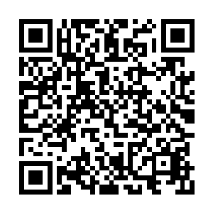 唯一的区别只是他们能够利用不朽之力进行重生二维码生成