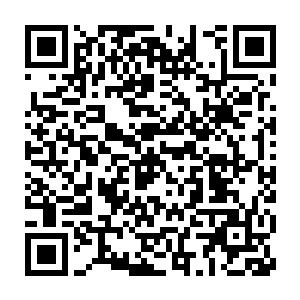 唯一的变数就是苏凡也是在早上的时候才知道这喜人身体里面埋有炸弹二维码生成