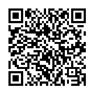 唯一的后果就只有他自己的头发被二货拉得一缕一缕掉下来……二维码生成