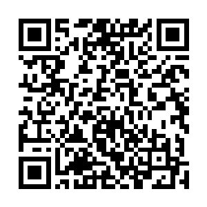 唯一的对手就变成了秦方……这个年纪比他小了接近一半二维码生成