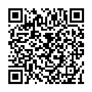 唯一的差别便是药园中种植的药草品种有些区别二维码生成