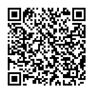 唯一的差别就是天地玄黄气……如果我将天地玄黄气融入肉身会出现什么情况二维码生成