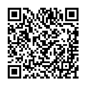 唯一的活路就是用最快的速度将弟弟的尸体收走二维码生成