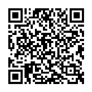 唯一的缺憾就是……本身所处的位面实在太低了二维码生成