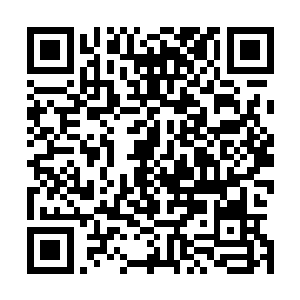 唯一知道的就是他们平原部落勇士们的命都是凌菲救回来了二维码生成