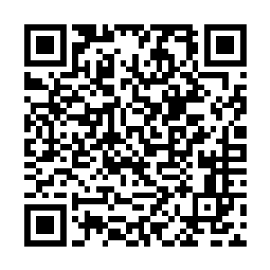 唯一结过婚的张华这一次还是被分派到了娘家人这边二维码生成