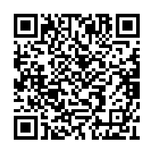唯一能做的就是亲眼见证这一场旷世仅有的大战二维码生成