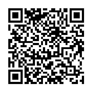 唯一能够和其抗衡的大概也只有法国阿海珐的cpr1000堆型技术二维码生成