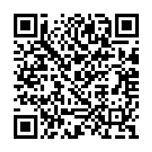 唯一要做好的就是在这一片混战当中保护好自己二维码生成