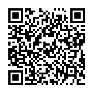 唯一让他有些摸不透的就是他们年级的无冕之王凌蘭了二维码生成