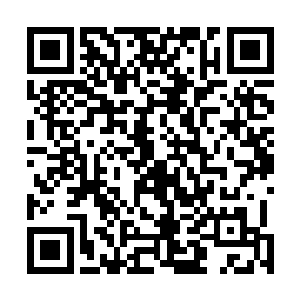 唯一让他激动的是看到海源城老百姓对他的支持依旧不减二维码生成