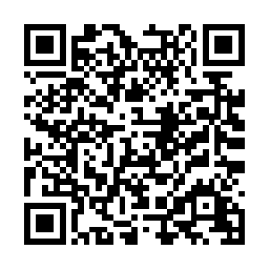 唯一让卢向东有些不满的就是管委会办公楼的进度二维码生成