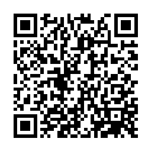 唯一让桑顿感觉有些可惜的就是自己现在这个时候二维码生成