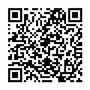 唯一达到当年远古时代妖孽天骄程度之人……那就让我看看二维码生成