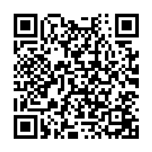 唯剩下一层耀眼的象征着天地浩然之气的金色光芒二维码生成