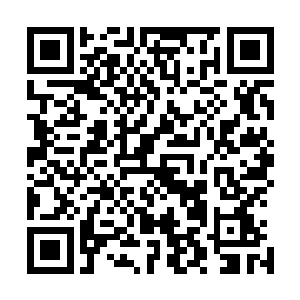 唯有丞的门生亲兵竟然任由那些黄羊玉兔随意啃食灵草仙药二维码生成