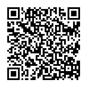 唯有两点碧绿色的幽火眼眸浮现出来的巫师在黑骨林内部的道路上漫步着二维码生成