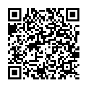 唯有之前云冰心提过的剑客方才符合这样的实力和形象二维码生成