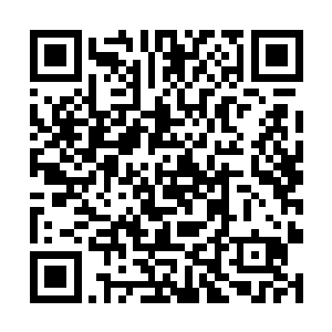 唯有修为臻至七重天之境的裂空尊者还能保持在原地二维码生成