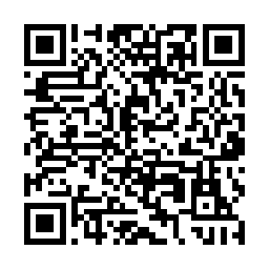 唯有只差一步便霞举飞升的霞举界高手方能压得住他二维码生成