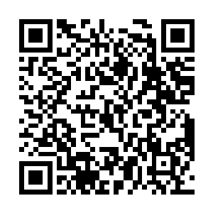唯有圣族精血还需要雷天花费一番心思和代价才能获取二维码生成