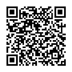 唯有圣界才有足够的条件让我晋级混沌之体更高层二维码生成