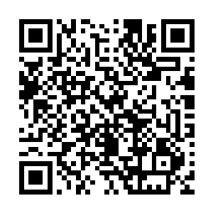 唯有墨府府主和墨府的天神境老祖知晓剑尘和沈剑二人的强大二维码生成
