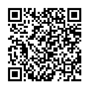 唯有她去过的西海和生活的九域可以被她归在地图上二维码生成