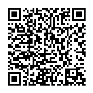唯有常年守护在公主殿下身边的萧晨萧师兄才能时刻见到公主殿下的音频笑容二维码生成