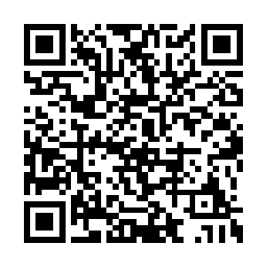 唯有当世超级宗门才有涉猎的天域终极修为层面二维码生成