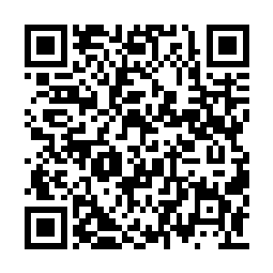唯有当兄弟会高层出召集令的时候才会蜂拥汇聚二维码生成