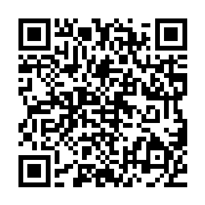 唯有洪荒十三种族中最擅长在高温环境下生存和作战的祝融族二维码生成