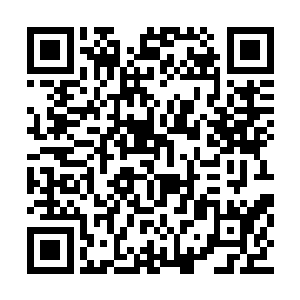 唯有达到宗王境的存在才会运用这样的妙术传承二维码生成