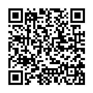 唯有达到气海境圆满修为的剑者才可以勉强承受一二二维码生成
