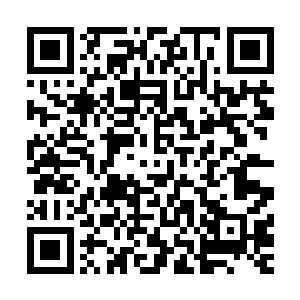 唯有那个倒霉蛋徐成留下的记忆在支撑着他对这个世界的认识二维码生成